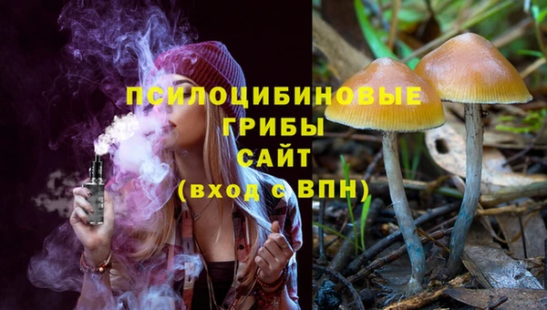 спайс Алзамай