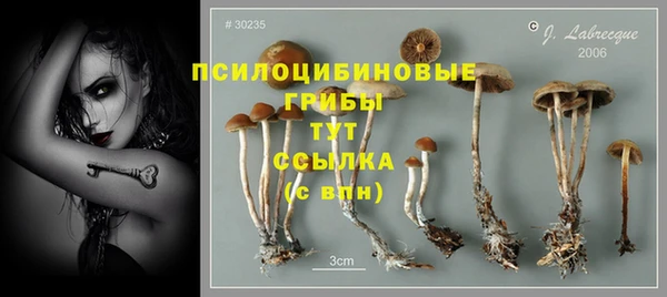 шишки Алексин