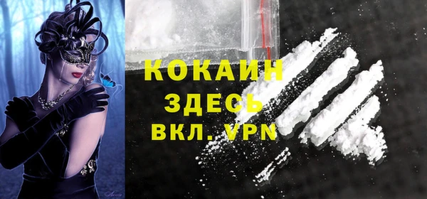 шишки Алексин