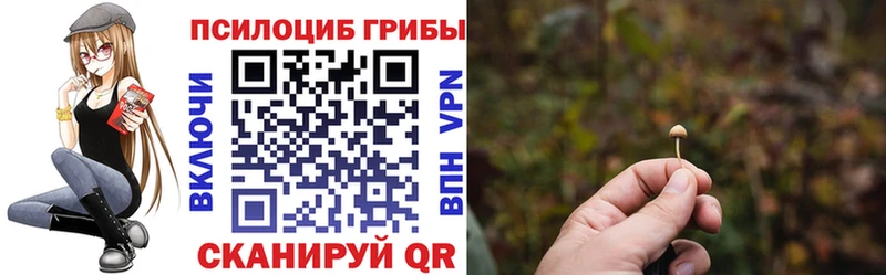 Галлюциногенные грибы ЛСД Лахденпохья