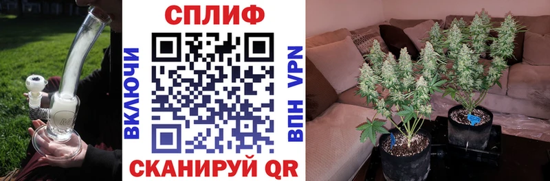 Канабис планчик  Лахденпохья 